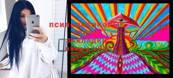 герыч Абаза