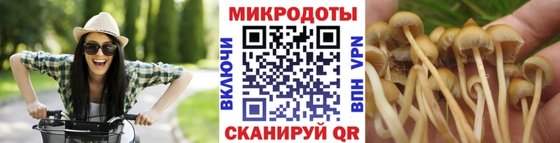 Галлюциногенные грибы Magic Shrooms  Александровск-Сахалинский 